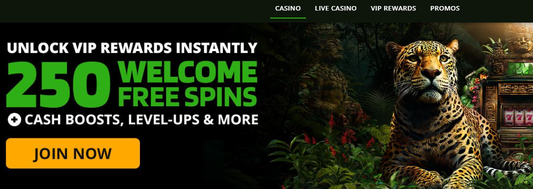 WildCasino dashboard preview